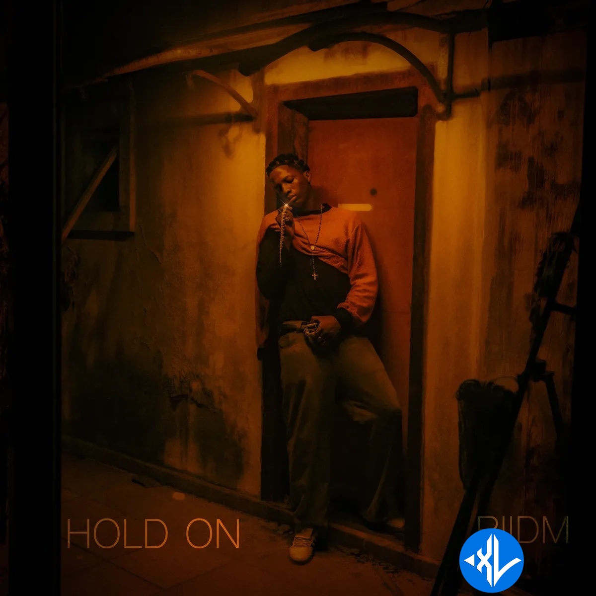 RIIDM – HOLD ON Cover Art