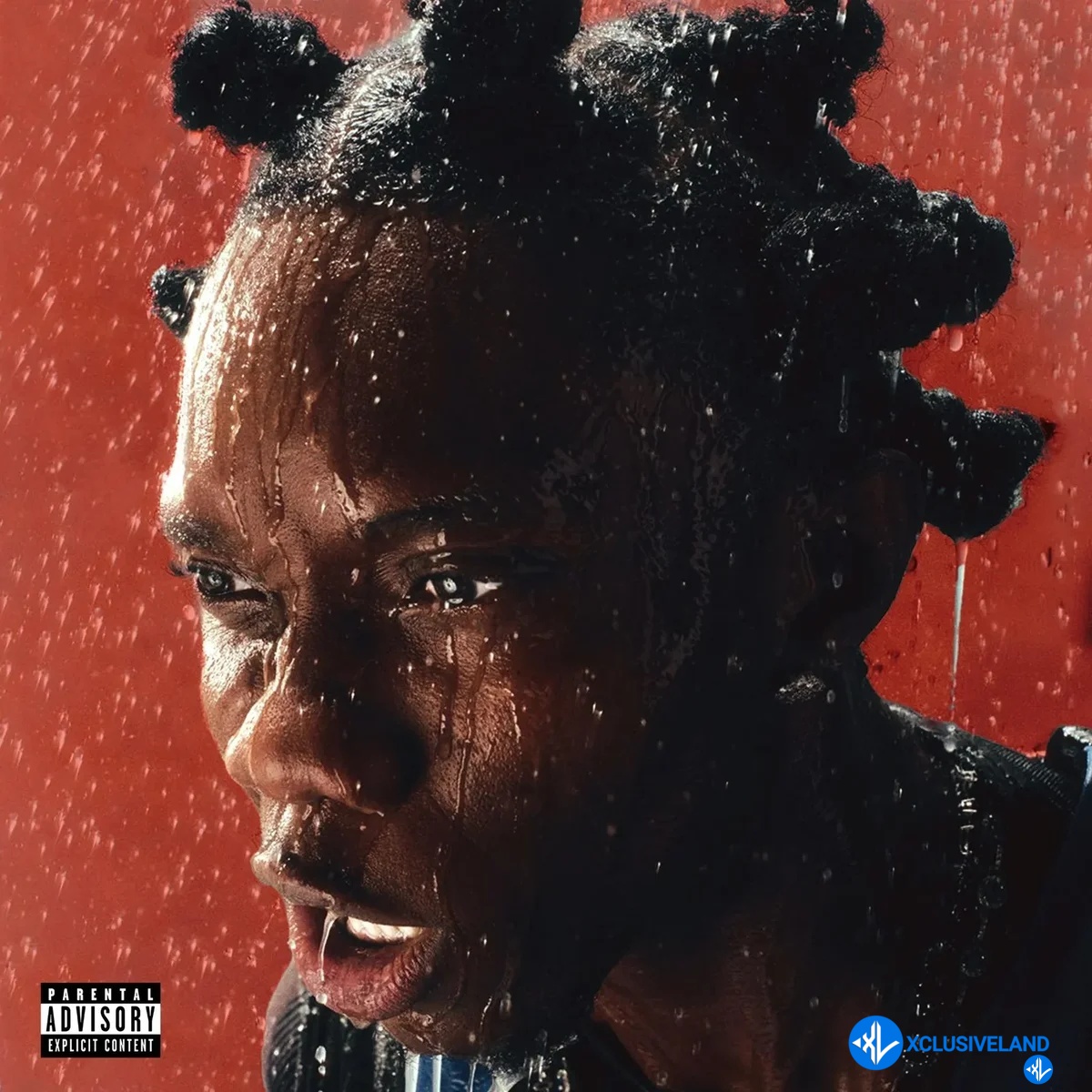 Blaqbonez – FINE SHYT ft. Tml Vibez Cover Art