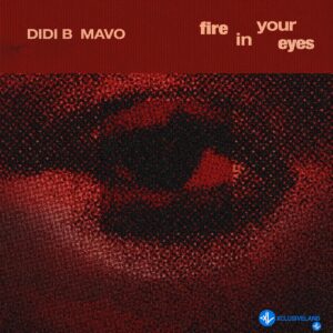Didi B – Fire in your Eyes ft. Mavo
