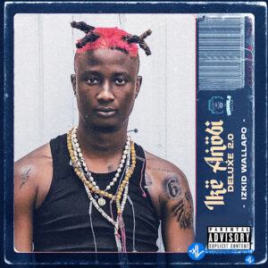 Izkid Wallapo – Afro Deep Ft. Terry Apala & Boy Muller